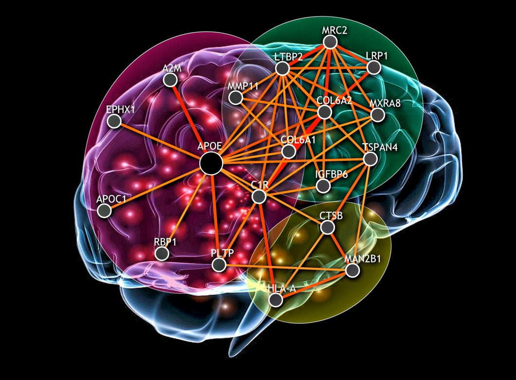 Fightback®️ Holistic Health analysis and Cognition response